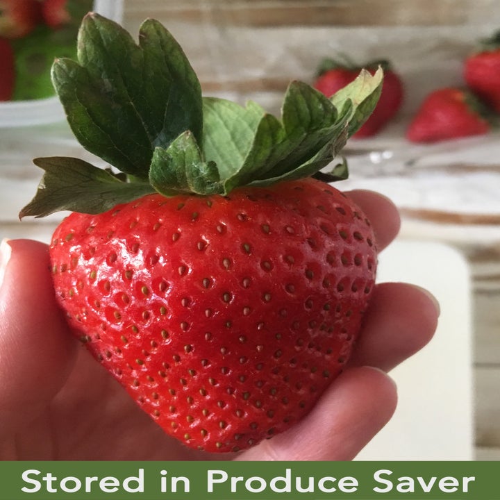 my hand holding a ripe, fresh-looking, plump strawberry; caption "stored in produce saver"