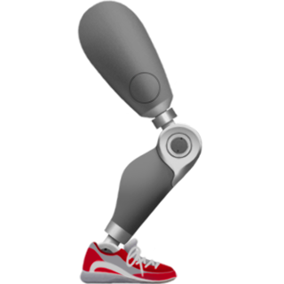 Prosthetic leg: