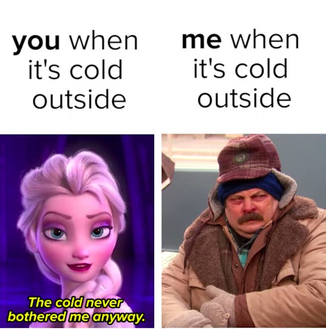 the cold never bothered me anyway meme funny