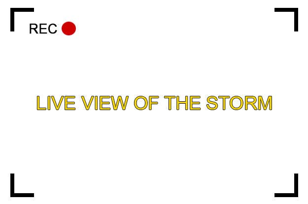 These Winter Storm Toby Memes Will Make You Laugh And Miss The Office