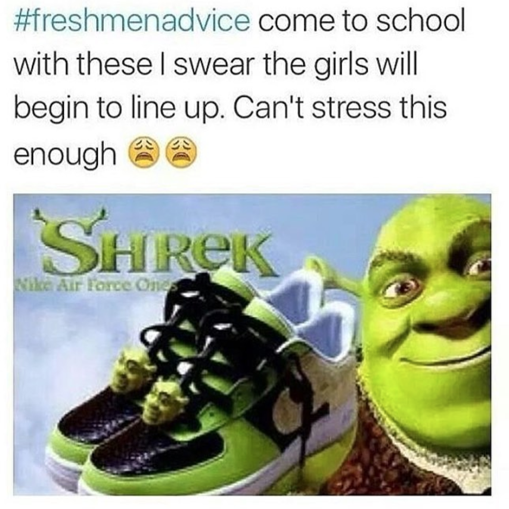 The 100 Funniest "Shrek" Jokes In The History Of Humanity