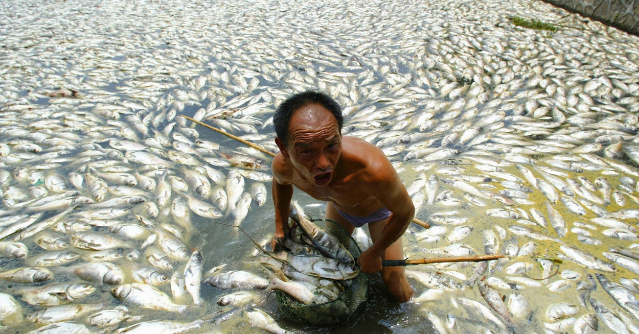 目を背けたくなるあまりに酷い現実、世界中の水質汚染を紹介する20枚の写真
