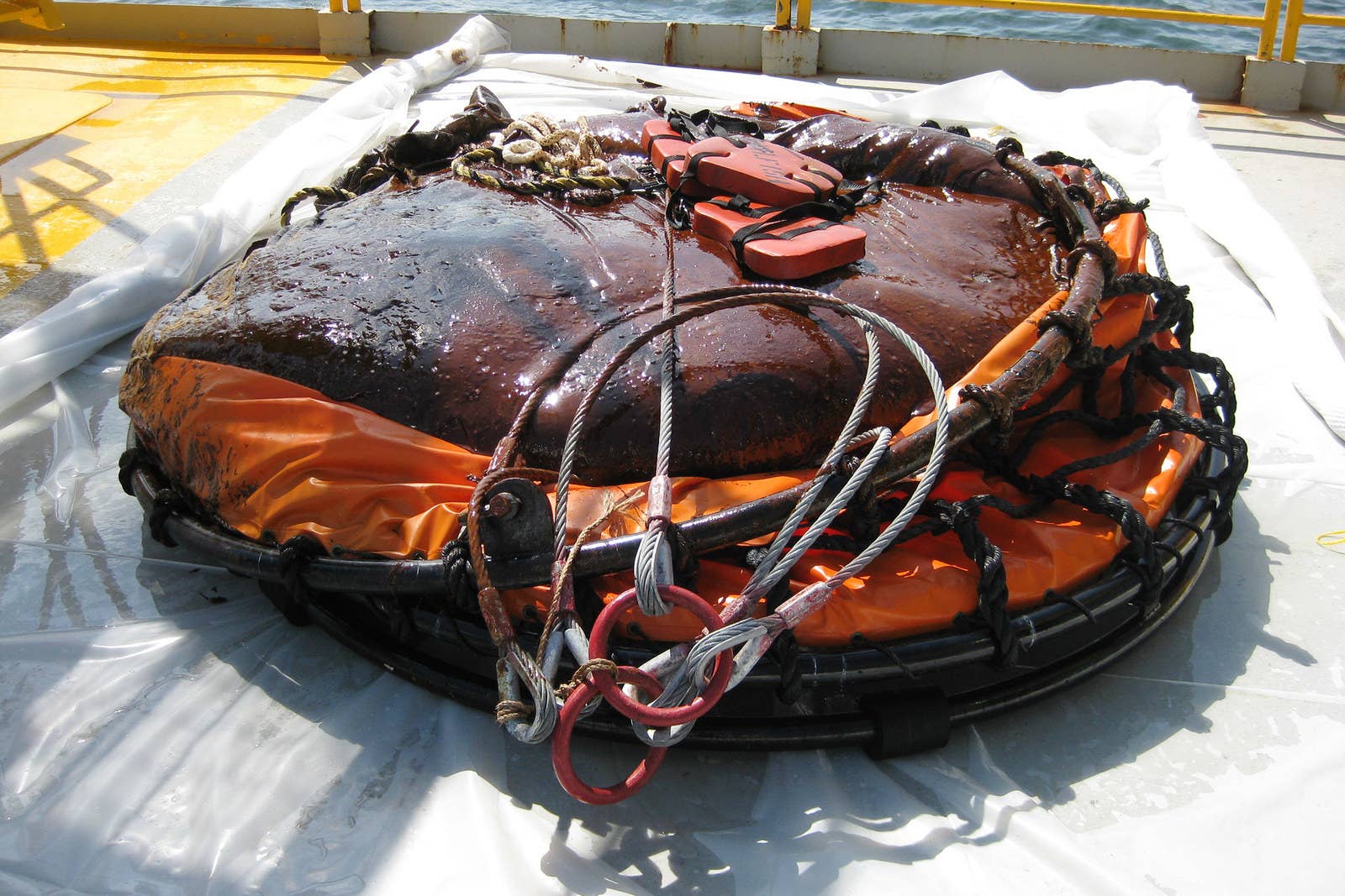 フロリダ沖で回収された1トンを超える廃油の塊。(2010年6月11日)