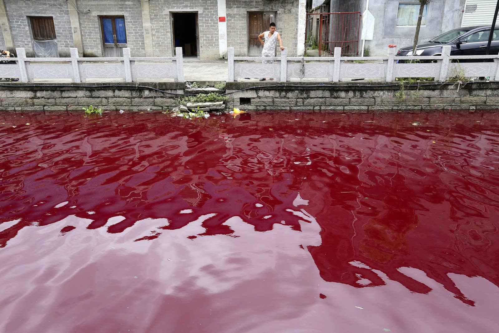 中国・温州にて汚染された川を見る男性。地元当局によると、川の水は川岸の近くに過っておかれた赤色の染料が数杯流されたことで変色したという。(2014年7月24日)