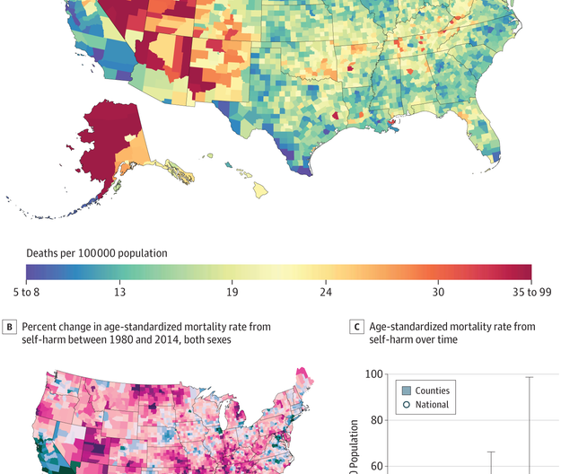 Deaths from suicide decreased between 1980 and 2000, then increased between 2000 and 2014. Alaska and Western states were hit the hardest.