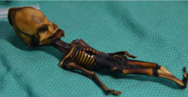 The remains of a tiny, mummified, humanlike skeleton were found in Chile about 15 years ago.