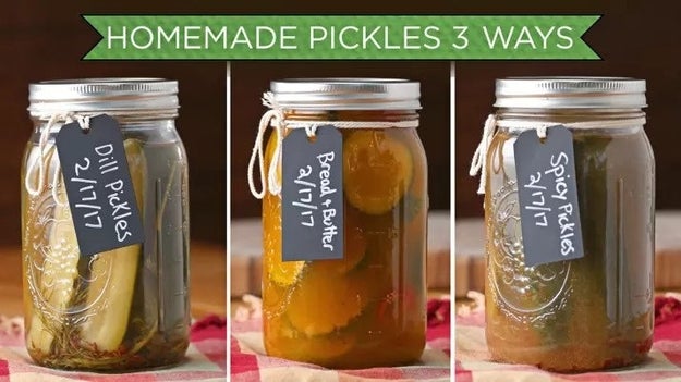 Brine the day away by making homemade pickles any homesteader would fawn over (as will you, homemade pickles are sooo much better than store bought).