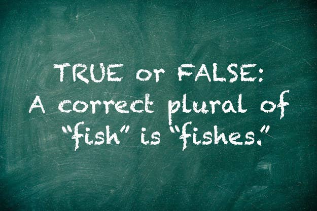 Fish or Fishes: Learn Which is the Correct Plural Form