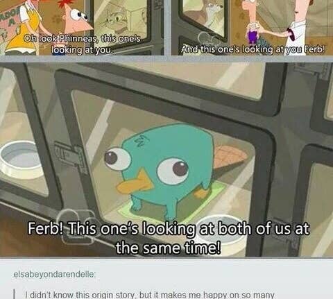 Major Monogram Phineas And Ferb Gay Porn - 17 Times \