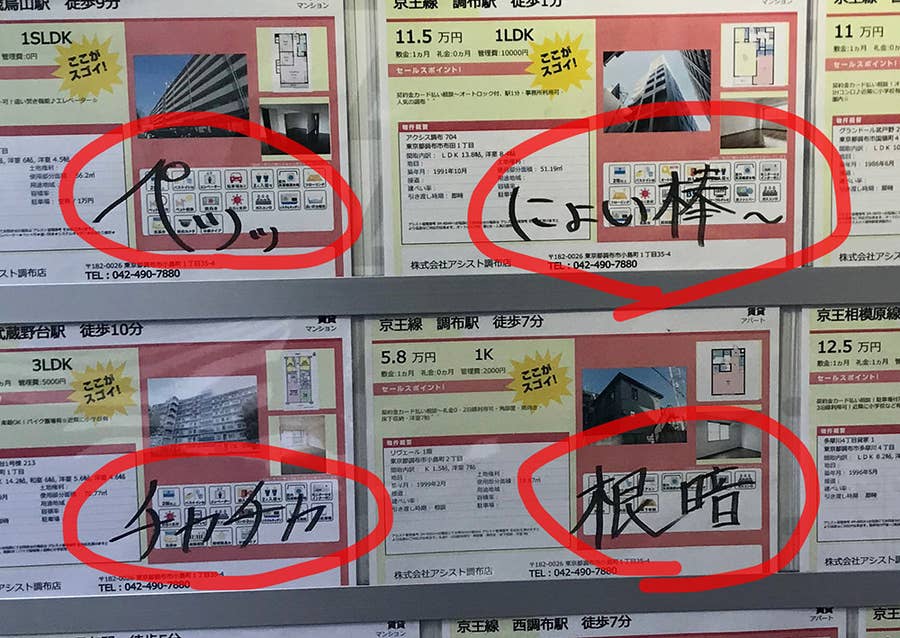 ヤバいの見つけた 物件を探しに行ったらヘンな不動産屋があったんですよ 何がヘンて 店頭チラシが自由すぎるんです