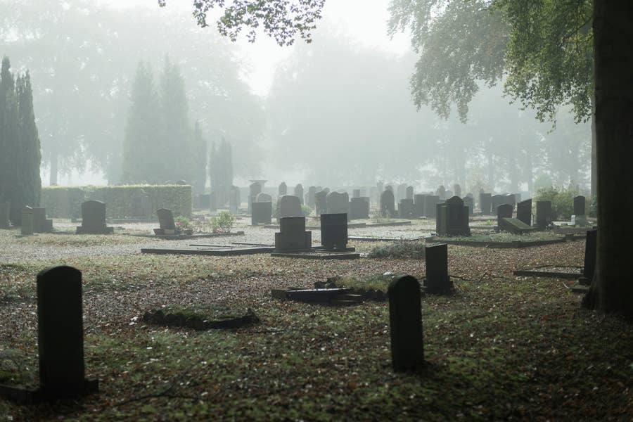 どうせなら知らずに死にたかった 21の残酷な事実