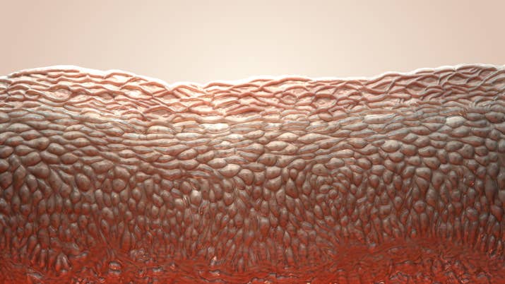 And your skin can shed at a rate of 500 million cells a day.