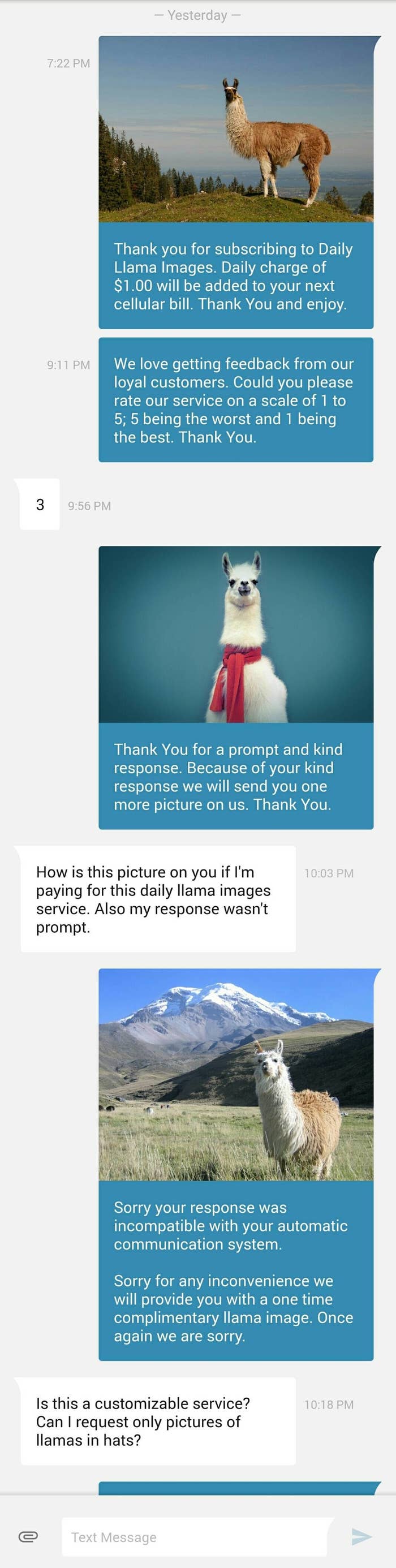 Cat Facts Text Copy Paste Cat S Blog
