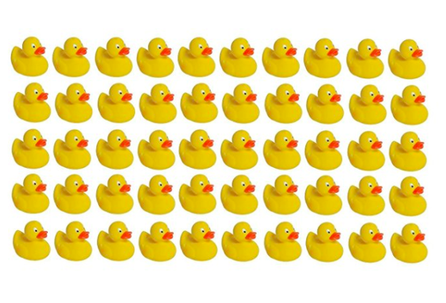 Buy a ton of rubber ducks and hide them.
