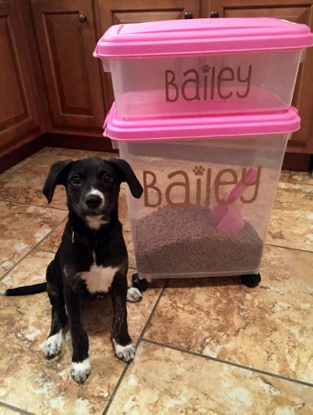Thousands Of Pet Owners Swear By This 19 Food Storage Set