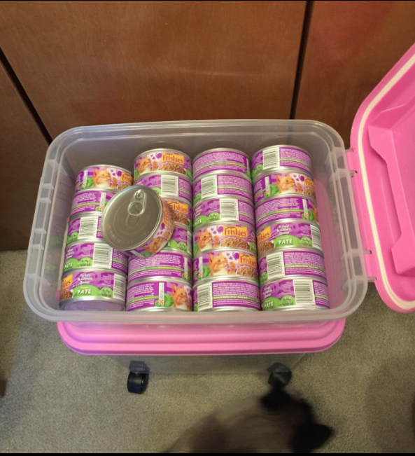 storing cat food