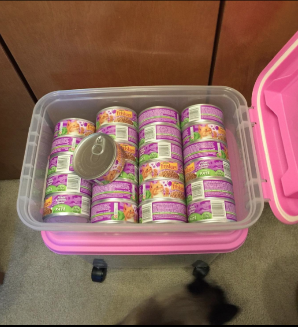 Thousands Of Pet Owners Swear By This 19 Food Storage Set