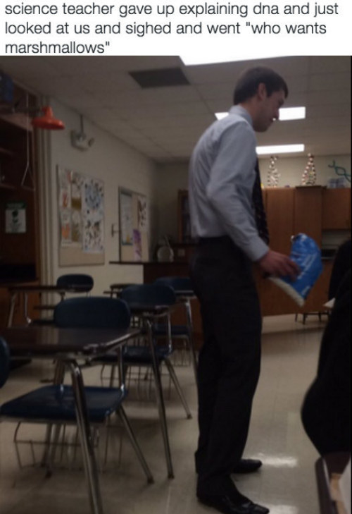 This science teacher who needed a little snack break: