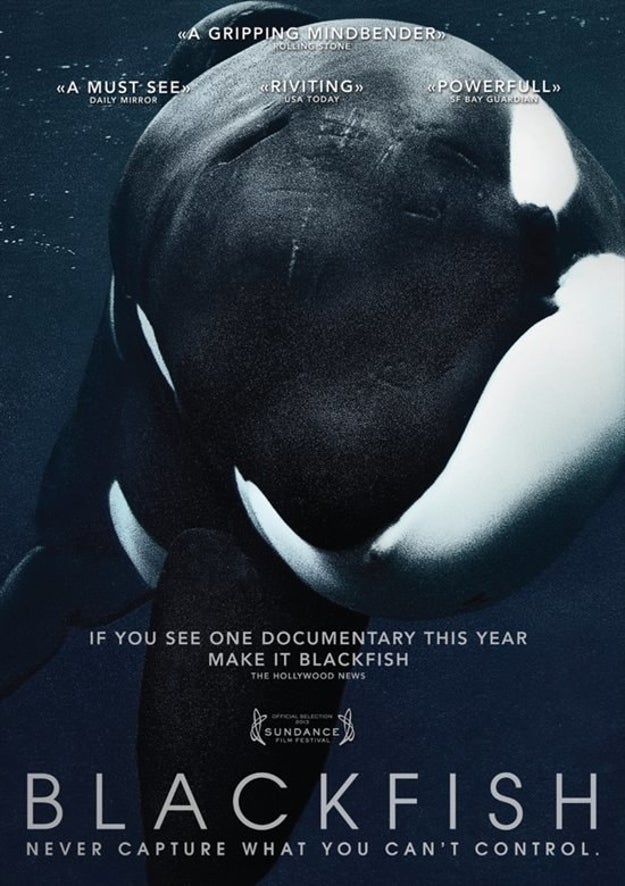 Heck, maybe you watch Blackfish while lying in bed, clutching a bottle of Gatorade, because once this hangover passes, you're going to save the planet.