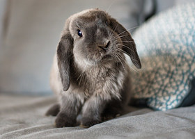 If You Score 14/18 On This Quiz, You Probably Just Watched The OG ...