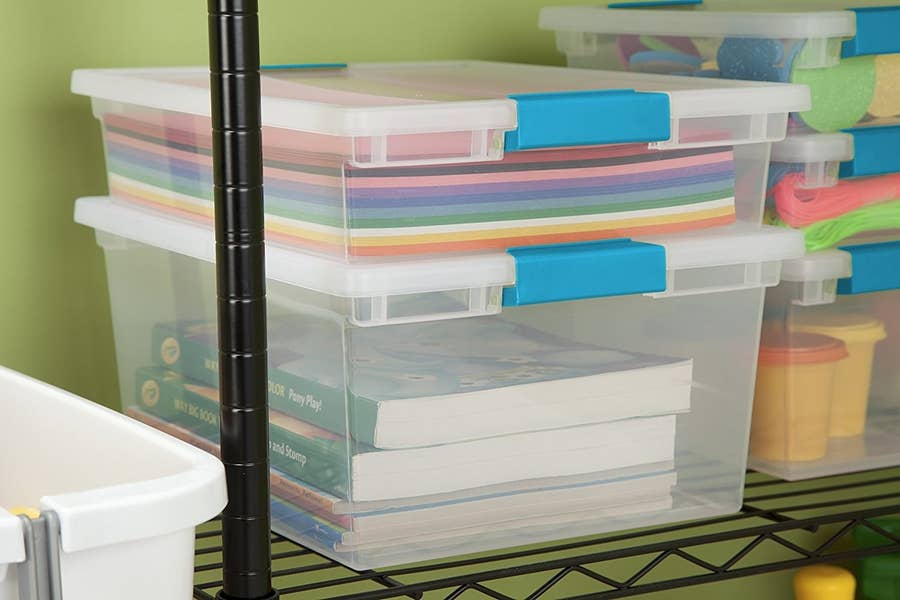 Prevent Bedbugs With These 12 Products