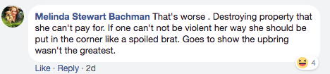 People seemed to...believe the picture of Spears was in fact the Parkland student activist? And they continued to passionately speak against the "violent" ways of "a spoiled brat."