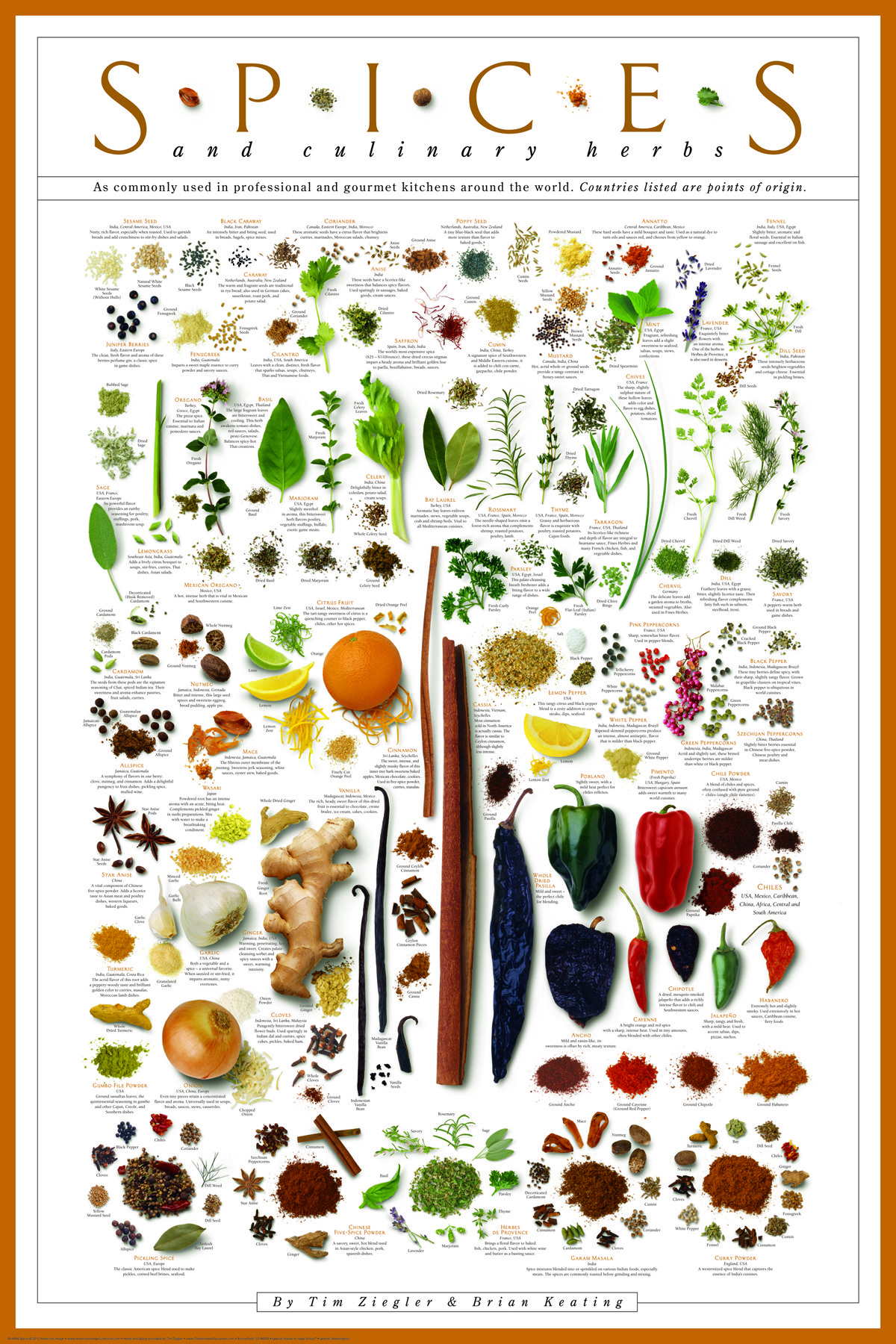 The poster, with images of spices, their names, and notes about them