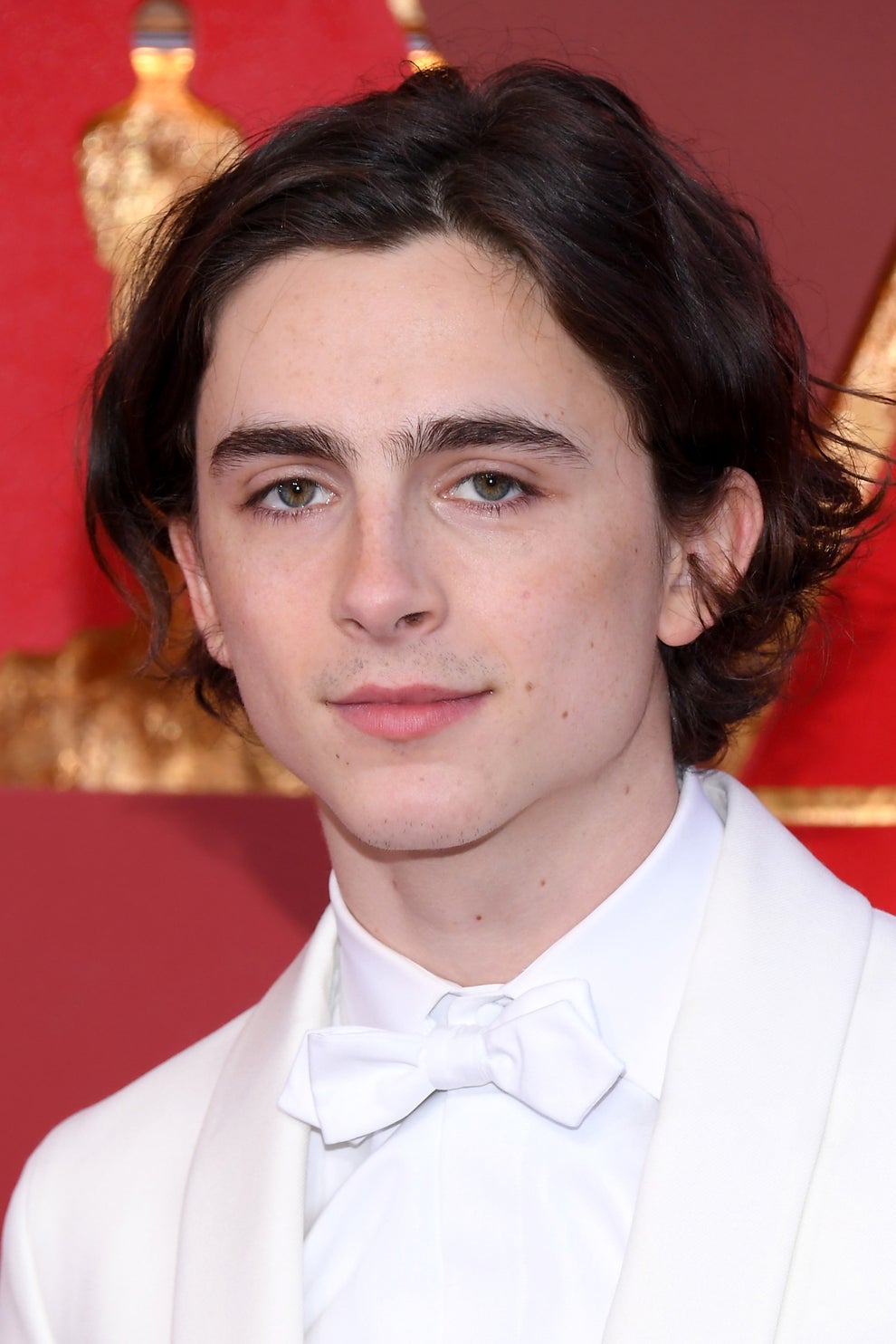 Literally Just 24 Pictures Of Your New Fav Human Timothèe Chalamet At ...