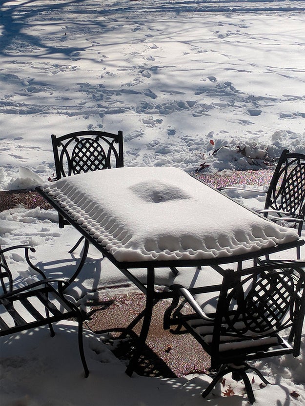 This table snow that looks like a fruit-filled pastry.