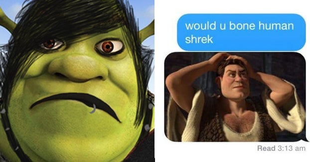 25 Times Shrek Made The Internet Say What The Actual Fuck