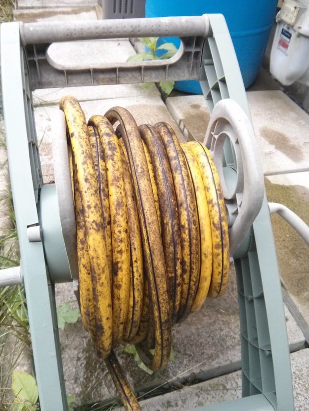 This water hose that'll make you want a banana real bad.