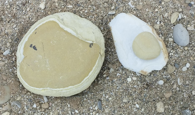 These rocks that look like a pancake and egg...