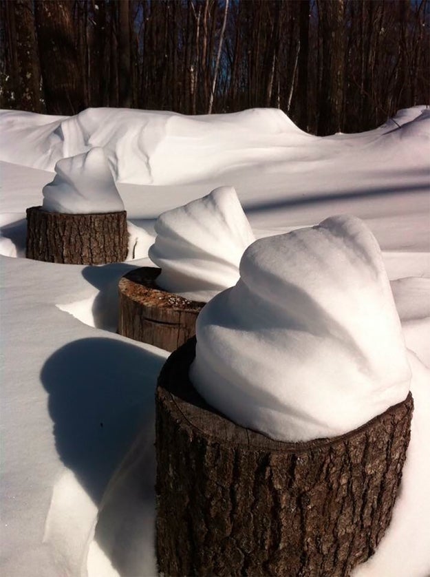 And finally, these swirls of snow on top of logs that look like soft serve ice cream.