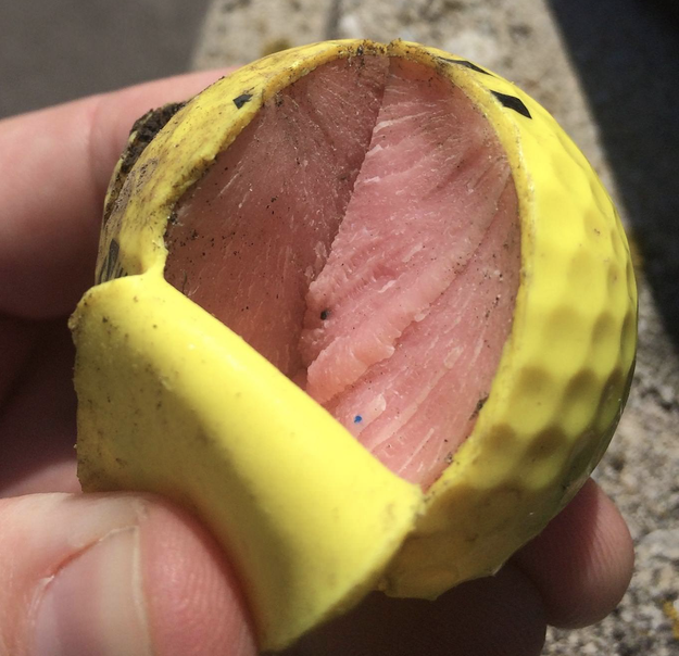 The inside of this golf ball which look like some tasty smoked salmon.