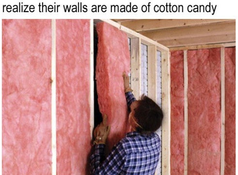 Por qué me lo comería: ¿Ya os he dicho que soy un puto idiota?A qué creo que sabría: a carne de casa con sabor a algodón de azúcar.