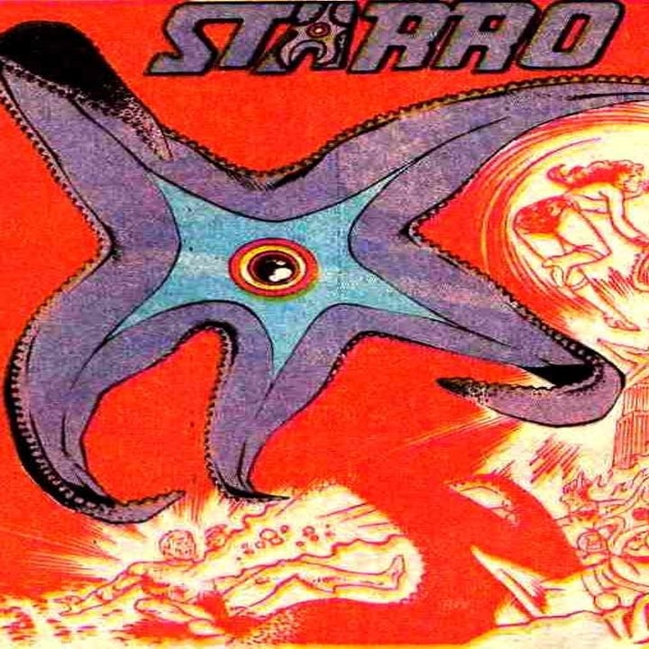 15 Facts About Starfish That Will Freak You TF Out