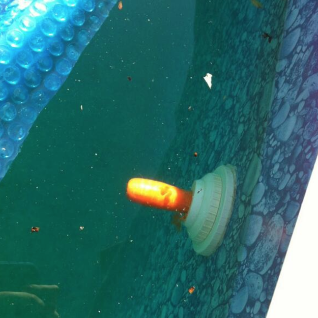 This mom who tried to plug her pool drain with a baby carrot.
