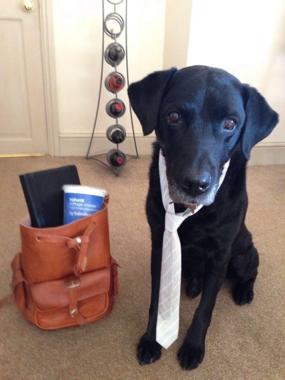 This old boye going to work for the very first time!