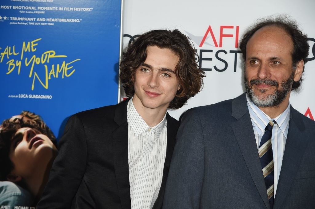 Luca Guadagnino Cancels Call Me By Your Name Sequel