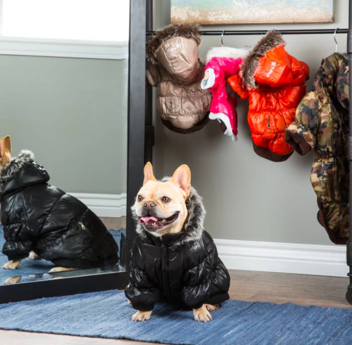 23 Things You Can Get At Overstock That People Actually Swear By