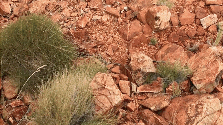 The Northern Territory is well known for its views at King's Canyon and Kata Tjuta, but what if I told you there are some beautiful spots even closer to Alice than you thought? The West MacDonnell National Park is under two hours from Alice and truly is a hiker's dream.