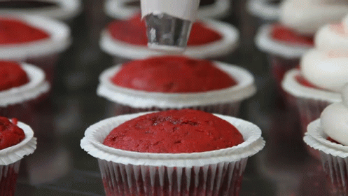 From cakes to cookies, there are loads of recipes available for all levels.