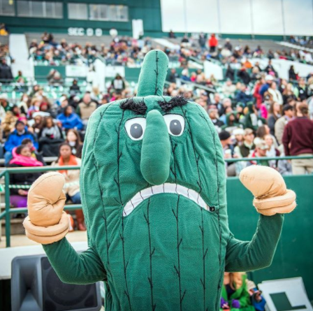 The Weirdest College Mascots, Ranked By How Nervous They Make Me Feel