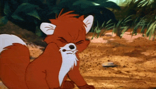One of my friends has a little fox bag she keeps her "supplies" in so we all call our period "fox bag week."—sadiesullivan76