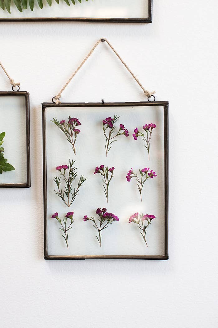 How to Dry Flowers: 4 Simple Ways + Decor Ideas