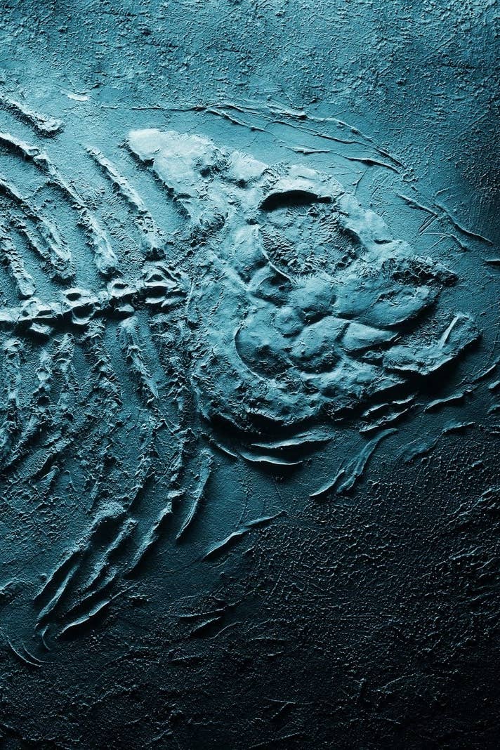 Here S Everything You Need To Know About The Monsters In A Quiet Place