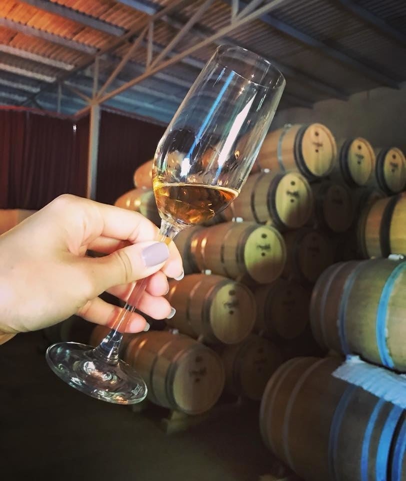 Just as you would with a glass of wine, you should swirl and smell the tequila to get acclimated to the aromas before enjoying the drink, one sip at a time. And, if you really must get lime, you can have a wedge...but only as a garnish!