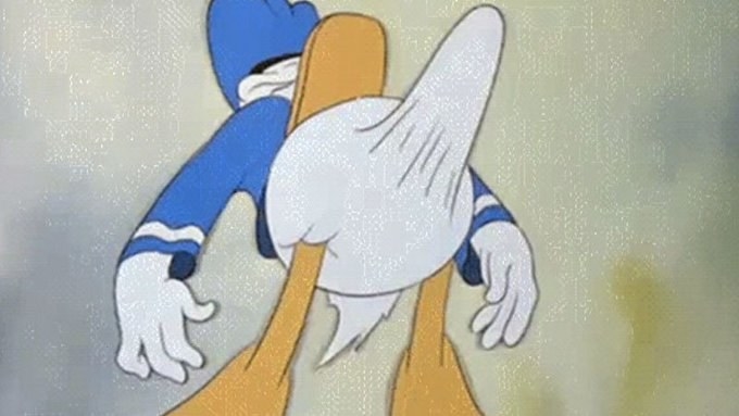 Donald Duck At Home Cartoon Porn - Here's The Truth About This Highly Suspect Screenshot Of Donald Duck