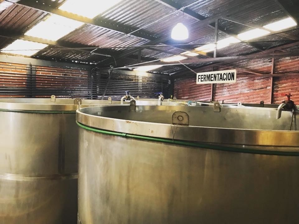 Again, with the intention of producing the finest tequila, Casa Noble distills the product three times to remove natural impurities, which in turn creates smoother, more aromatic tequila.