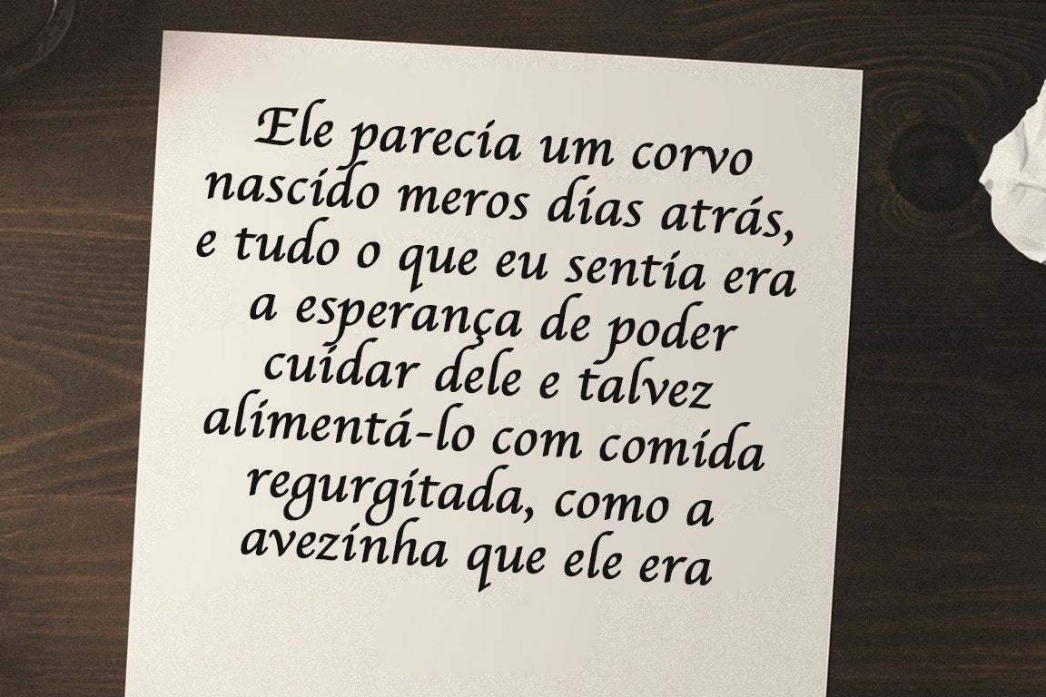 "Timóteo era meramente uma coisinha frágil. Ele alongou seus braços para revelar a pele firme e leitosa de seu ventre. Ele pestanejou seus cílios longos e espessos e, neste momento, fui possuída por um instinto quase maternal de proteger dos males do mundo o seu corpo frágil como o de um filhote de passarinho. Sim, ele era um homem de 32 anos, mas era na verdade mais um rapaz de 20 anos no corpo de alguém mais velho. Ele parecia um corvo nascido meros dias atrás, e tudo o que eu sentia era a esperança de poder cuidar dele e talvez alimentá-lo com comida regurgitada, como a avezinha que ele era."